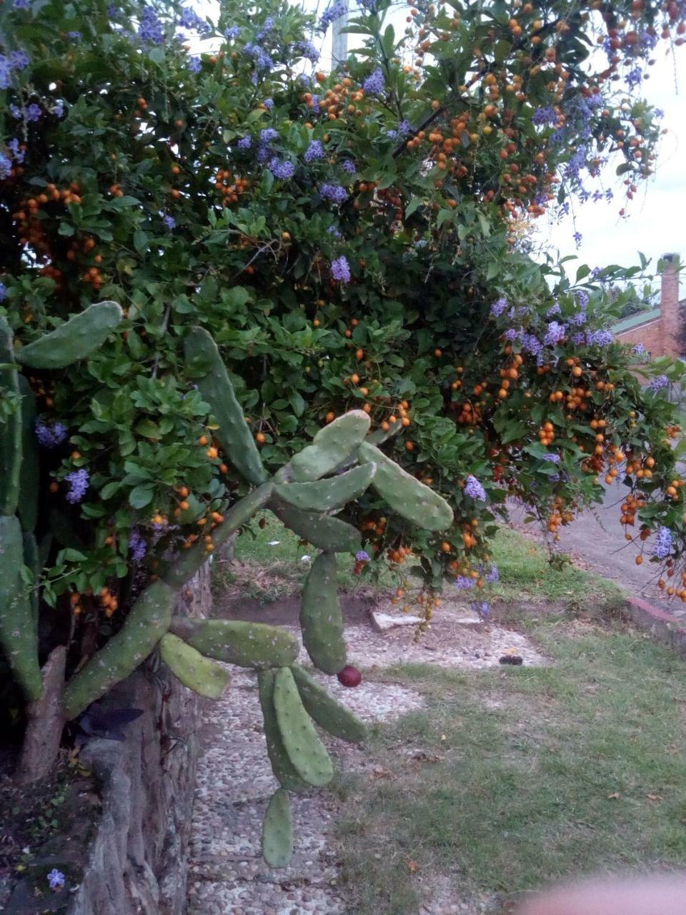 Jardines De Don Bosco Appartement Salto Buitenkant foto